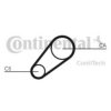CONTITECH CT648 Timing Belt